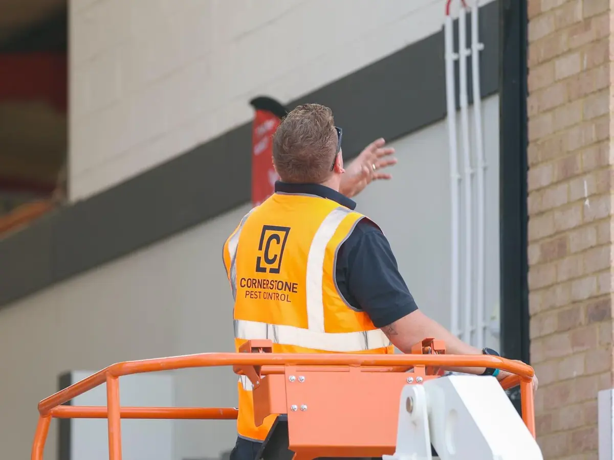 A Cornerstone Pest Control technician on a boom lift, fitting bird proofing to the roofline of a commercial building in Surrey