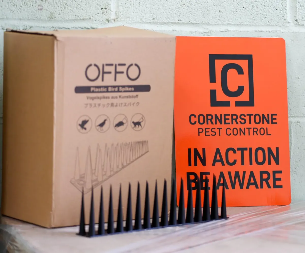 Plastic bird spikes laid out beside their carton and an orange Cornerstone Pest Control warning board