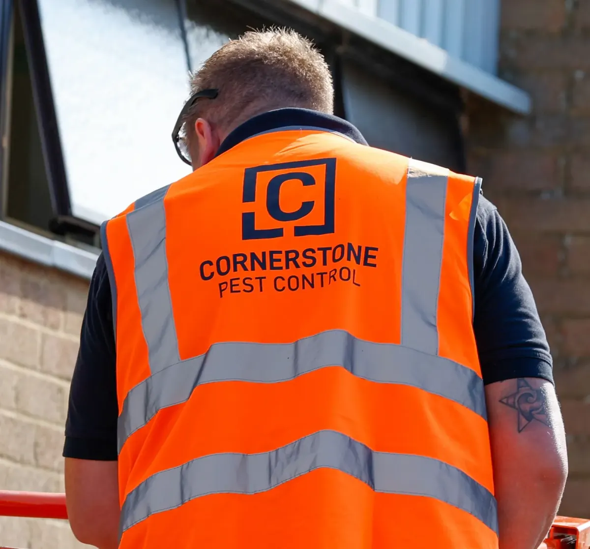The back of a Cornerstone Pest Control branded hi-vis vest worn by a technician on a job